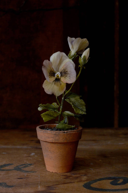 No. 23 - Maggie Austin Studio